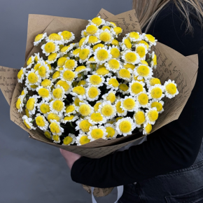 Букет "Моё солнышко" из 11 хризантем сантини  в Ивантеевке