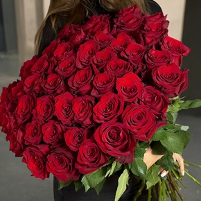 Букет 51 роза Эквадор Эксплорер (70 см) в Ивантеевке