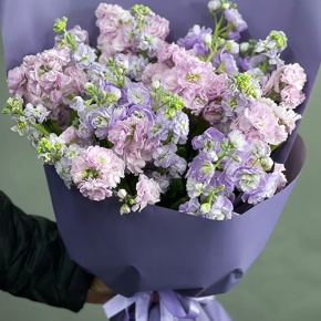 Букет из 15 ароматных маттиол микс в Ивантеевке