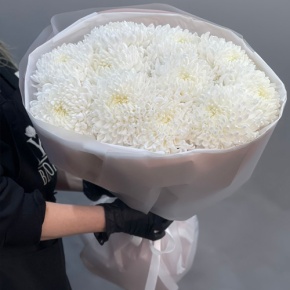 Букет из 11 белых хризантем  в Ивантеевке