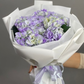 Букет из 5 фиолетовых гортензий в Ивантеевке
