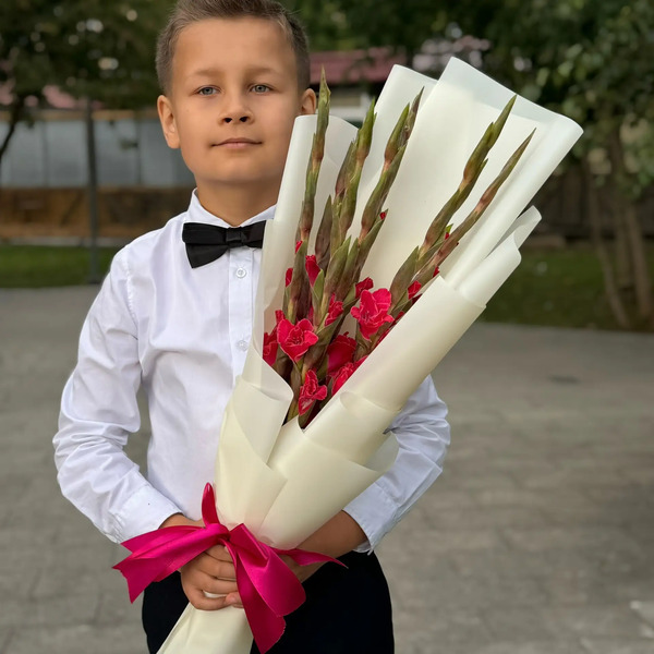 Букет на 1 сентября из 7 малиновых гладиолусов в Ивантеевке