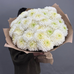 Букет из 27 хризантем Магнум в Ивантеевке