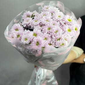 Букет "Нежный комплимент" из 9 кустовых хризантем в Ивантеевке