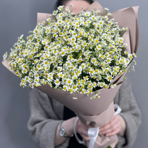 Букет из 17 полевых ромашек в Ивантеевке