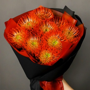 Букет из 9 лейко в Ивантеевке