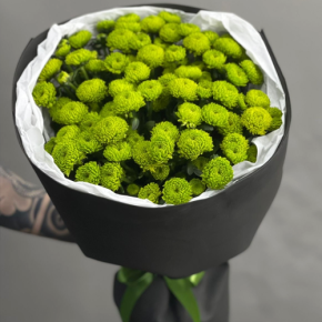 Стильный букет "Лайм" из 15 хризантем сантини в Ивантеевке