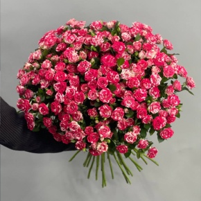 Букет из 31 кустовой розы Фаерворкс (60 см) в Ивантеевке
