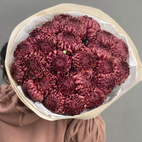 Букет 21 шоколадной хризантемы Бигоуди в Ивантеевке