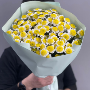 Букет "Моё солнышко" из 17 хризантем сантини  в Ивантеевке