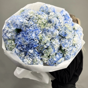 Букет из 23 синих гортензий в Ивантеевке
