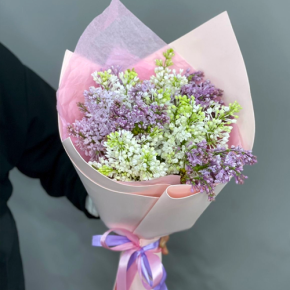 Букет из 11 веток сирени микс в Ивантеевке