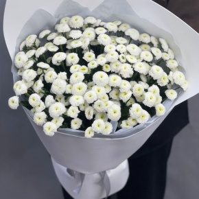 Букет "Белая дымка" из 25 хризантем сантини в Ивантеевке