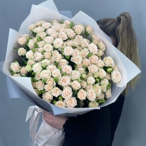 Букет из 25 кремовых кустовых роз (70 см) в Ивантеевке