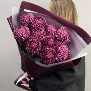 Букет "Изобилие" из 11 винных хризантем Бигоуди в Ивантеевке