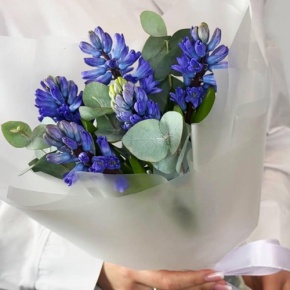 Букет "Мини" из 5 ароматных гиацинтов и эвкалипта в Ивантеевке