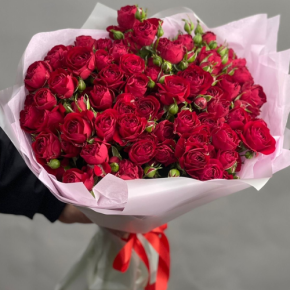 Букет из 17 красных кустовых пионовидных роз (50 см) в Ивантеевке