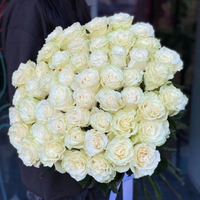 Букет из 51 розы Эквадор Мондиаль под ленту (80 см) в Ивантеевке