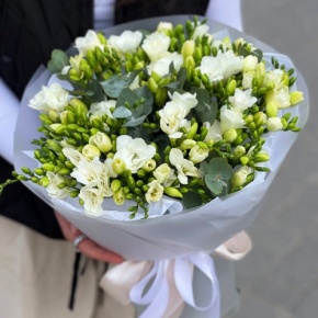 Букет из 51 белой фрезии в Ивантеевке