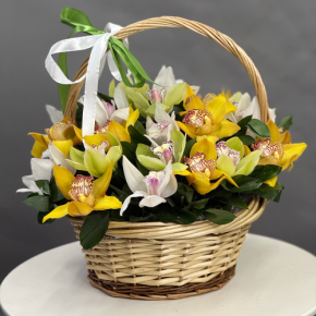 Композиция в корзине из 25 орхидей микс в Ивантеевке