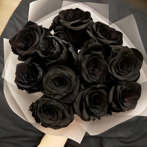 Букет "Черная королева" из 11 черных роз Эквадор (60 см) в Ивантеевке
