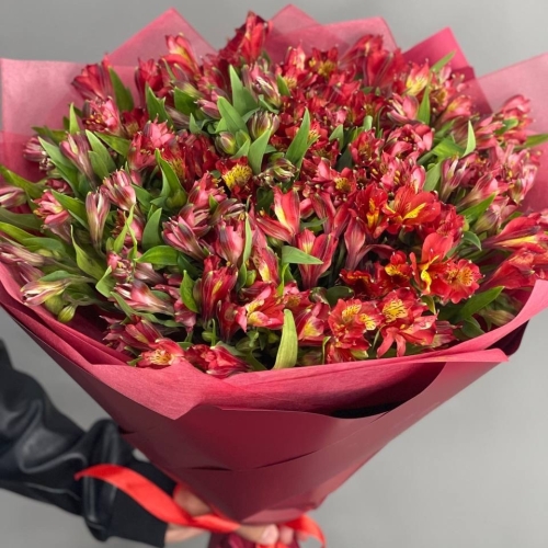 Монобукет из 25 красных альстромерий в Ивантеевке