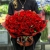 Букет 101 красная Кенийская роза (40 см) в Ивантеевке