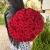 Букет 51 красной розы 50 см в Ивантеевке