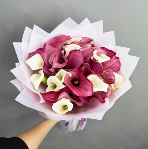 Букет из 25 нежных калл в Ивантеевке