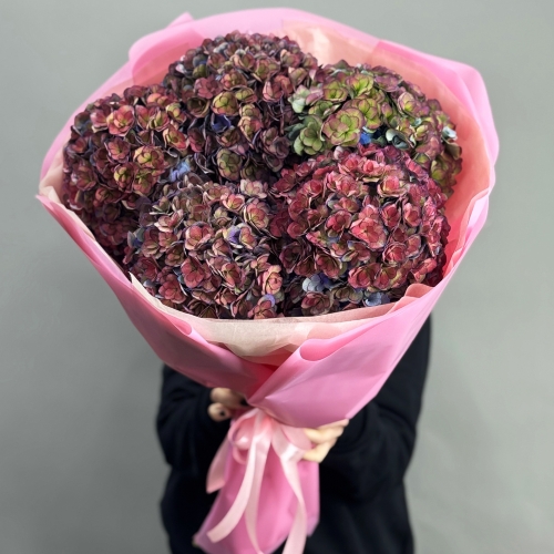 Букет из 5 космических Голландских гортензий в Ивантеевке