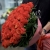 Букет 51 коралловая роза (60 см) в Ивантеевке Букет 51 коралловая роза (60 см) в Ивантеевке