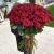 Букет из 101 красной розы (90 см) в Ивантеевке