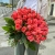 Букет 51 роза коралл (60 см) в Ивантеевке
