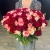 Букет 151 роза красный микс (50 см) в Ивантеевке