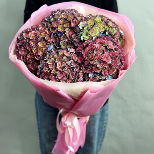 Букет из 5 космических Голландских гортензий в Ивантеевке