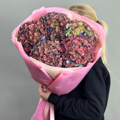 Букет из 5 космических Голландских гортензий в Ивантеевке